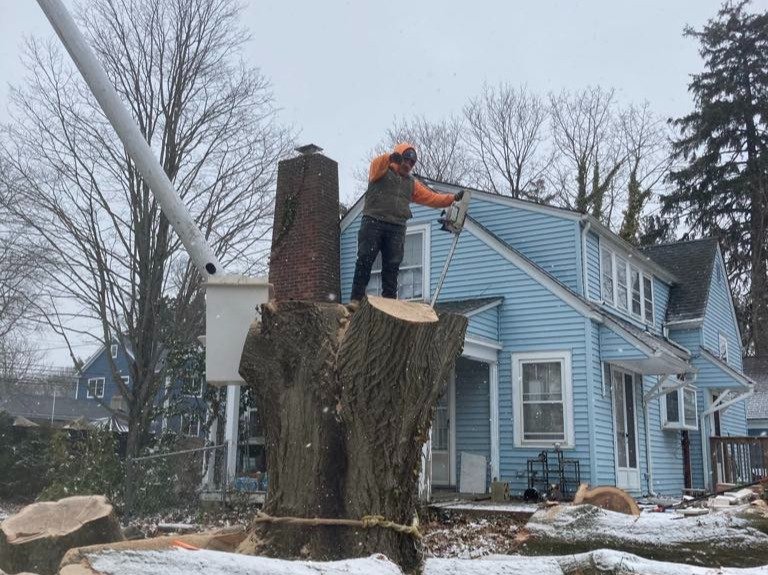 II Towns Tree Service