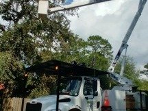 II Towns Tree Service