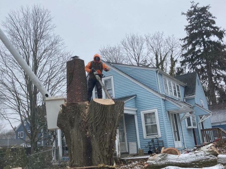 II Towns Tree Service